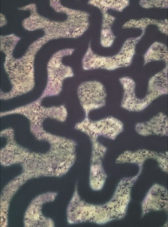 Στολή κατάδυσης Comfort Camo Brown 3,0 mm